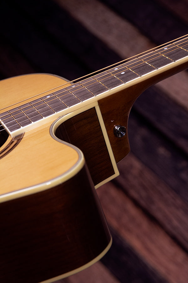 GUITARRA WASHBURN AG70CE APRENDIZ