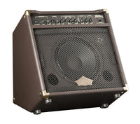 Amplificador de guitarra acústica Washburn WA30