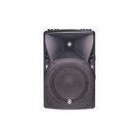 PARLANTE ACTIVO TOPP PRO X12A