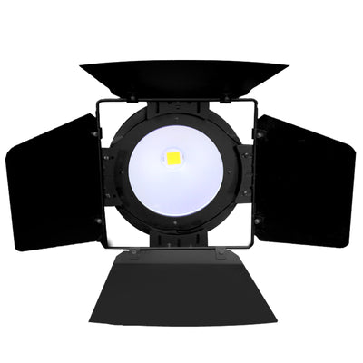 Foco Frenel led COB04 PAR 200 W blanco Frio Glowing