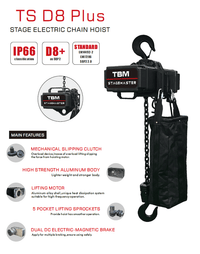MOTOR TS3P - 10S M5 POLIPASTO 1 TON 25MT TBM HOIST D8PLUS - Urdile