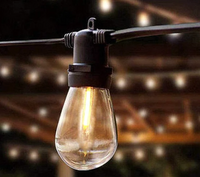 Guirnalda LED Dimeable 14.6mts Outdoor S14 C/Control
