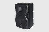 PARLANTE ACTIVO TOPP PRO X-8A
