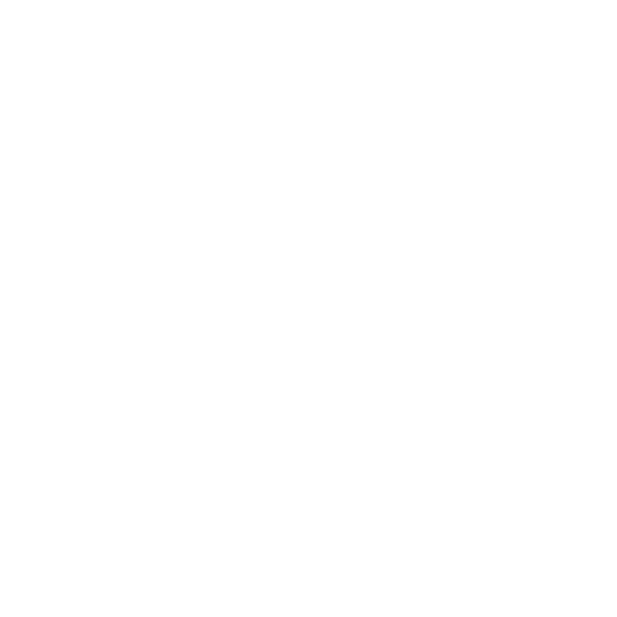 Chauvet Professional